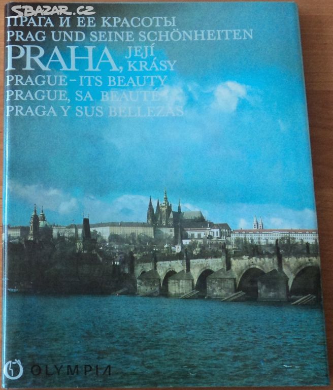 Прага книга. Прага золотая книги иван долежал. Прага. Книжный прага. Город золотого волшебства.