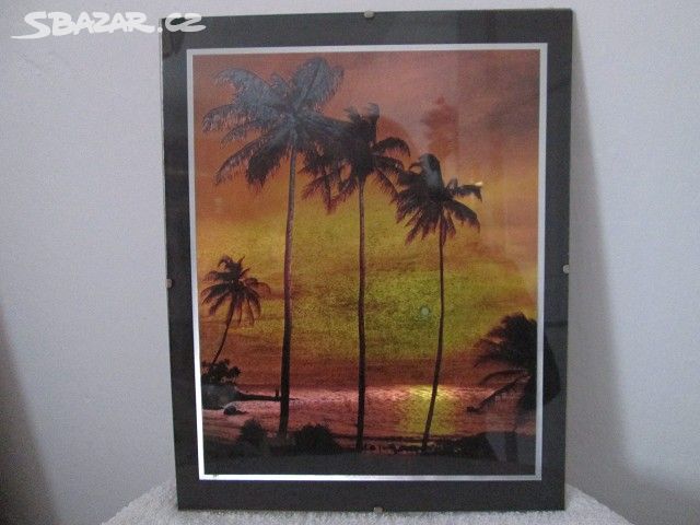 Obrázek palmy, moře, západ slunce.