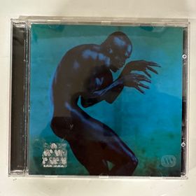 Obrázek k inzerátu: Seal  Human Being - CD