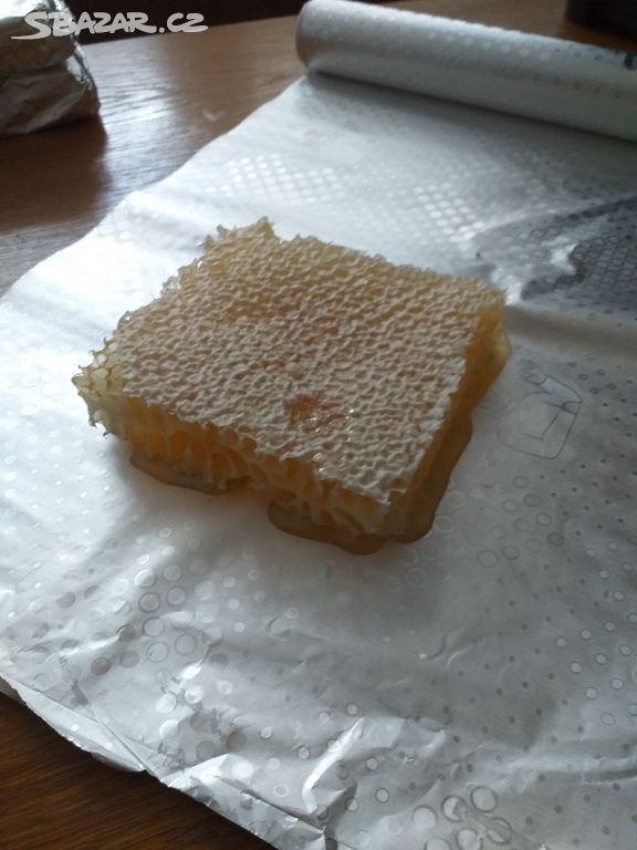 Plástečkový med