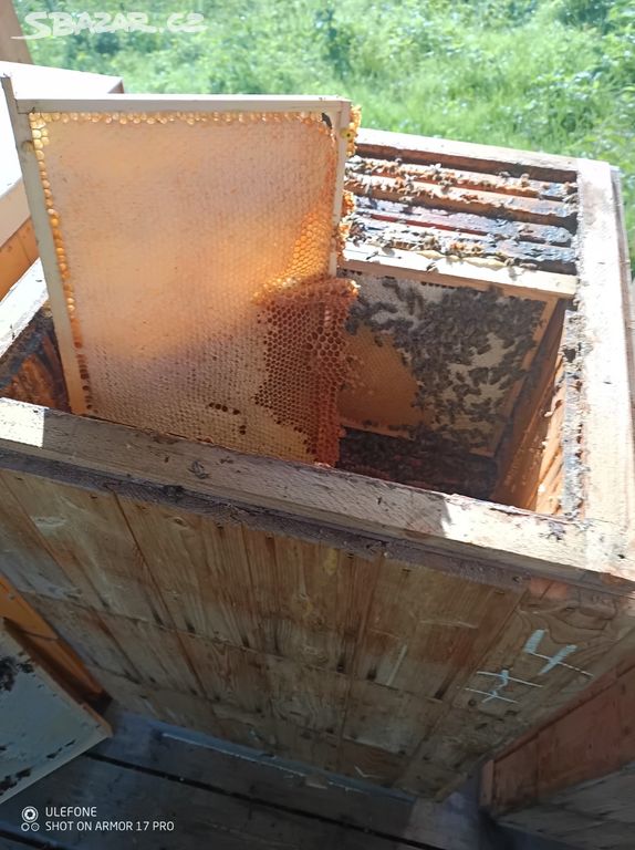 Včelí med