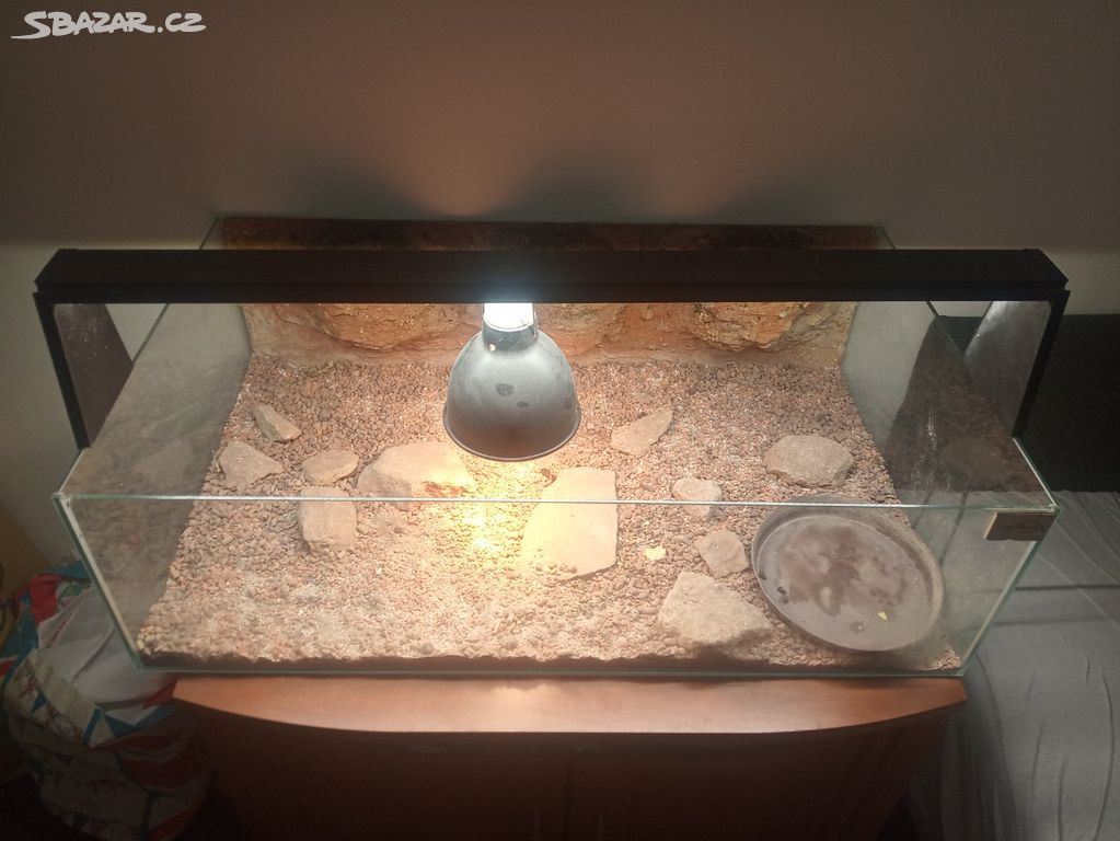 Osvětlené terárium s tepelnou lampu pro želvy