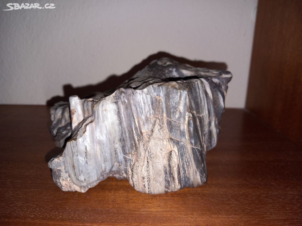 Zkameněliny, paleontologie, zkamenělé dřevo