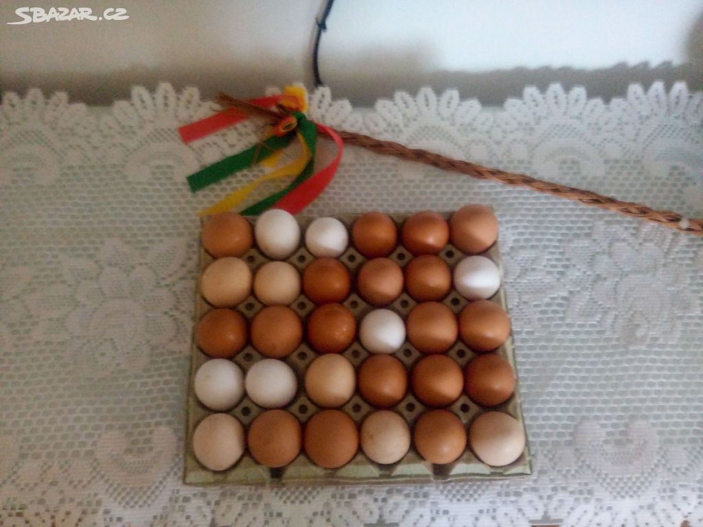 Vajíčka domácí