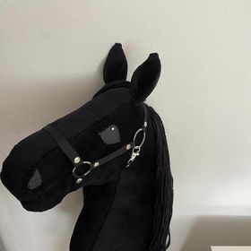 Obrázek k inzerátu: Hobby horse černy