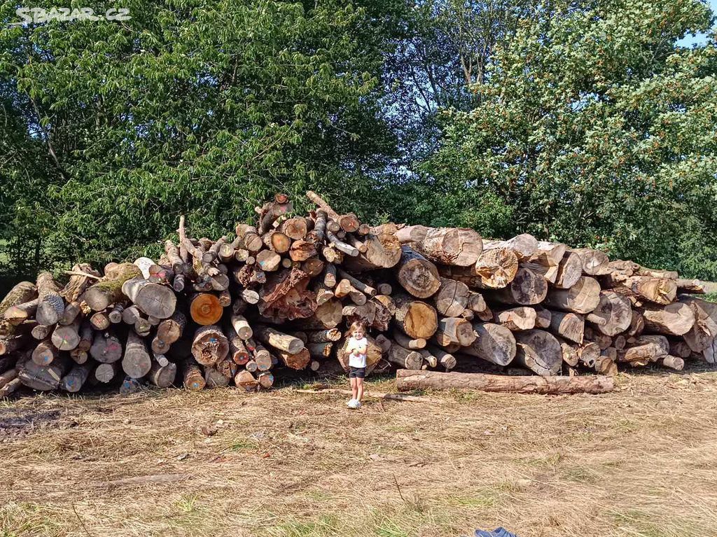 Suché štípané palivové dřevo na letošní zimu