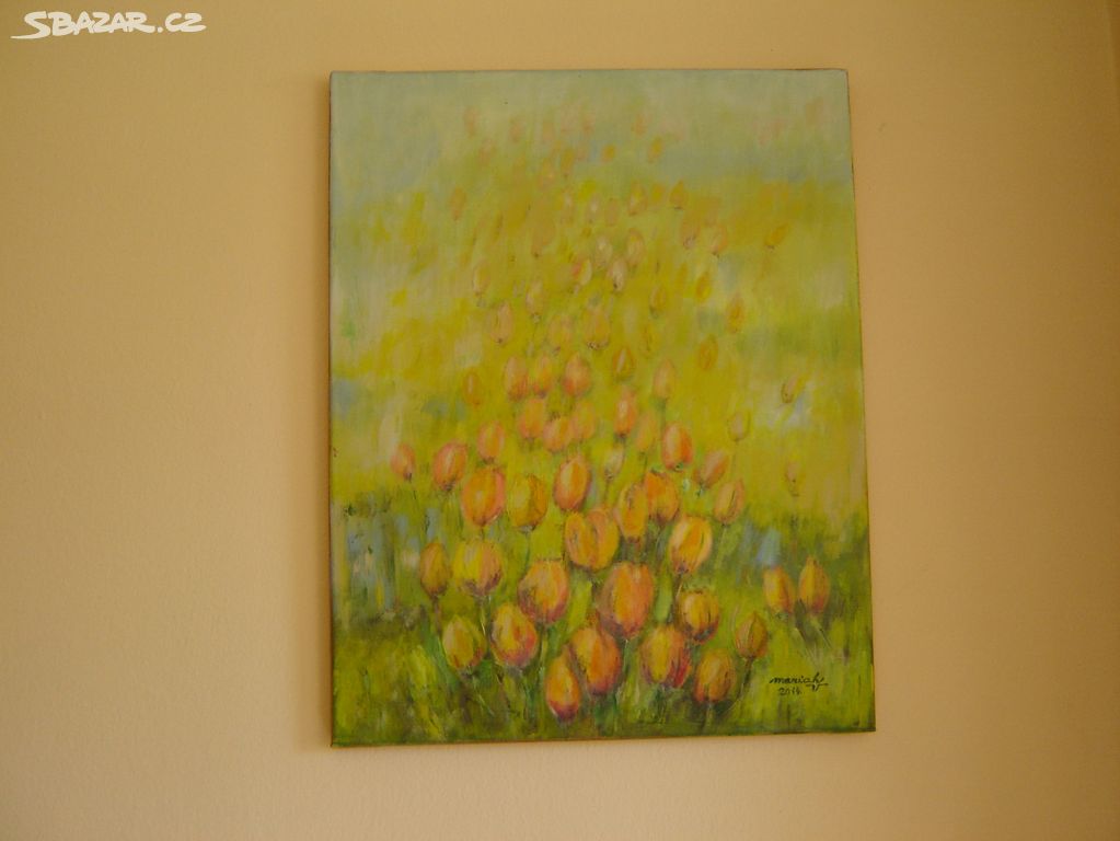 Obraz 40 x 50,5 cm Ráno na tulipánovém poli