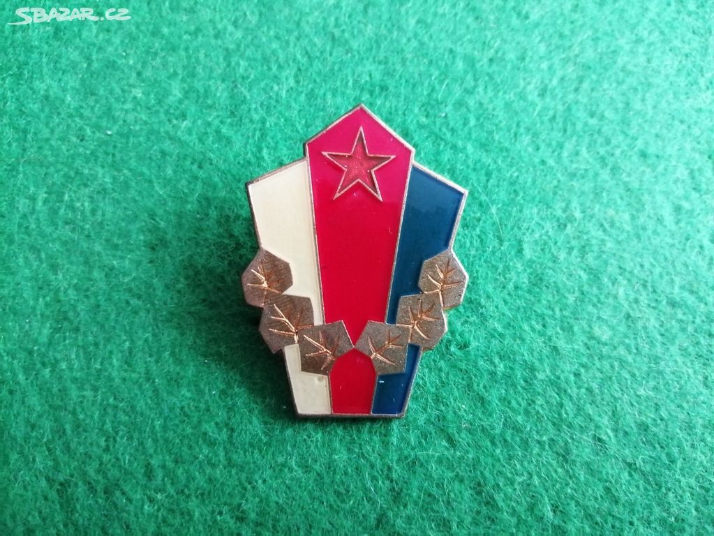 Vojenský odznak ČSLA, Vzorné družstvo