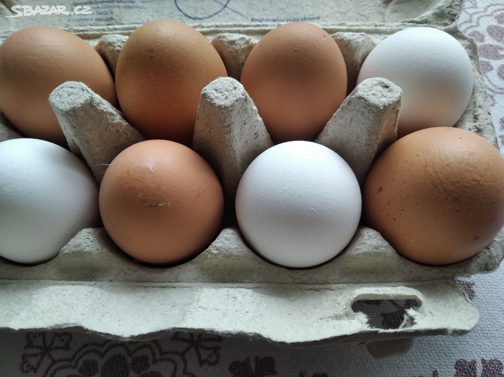 slepičí vejce - vajíčka