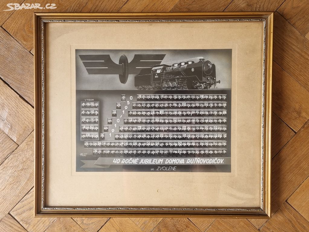 Obraz - 40 ročné jubileum domova rušnovodičov