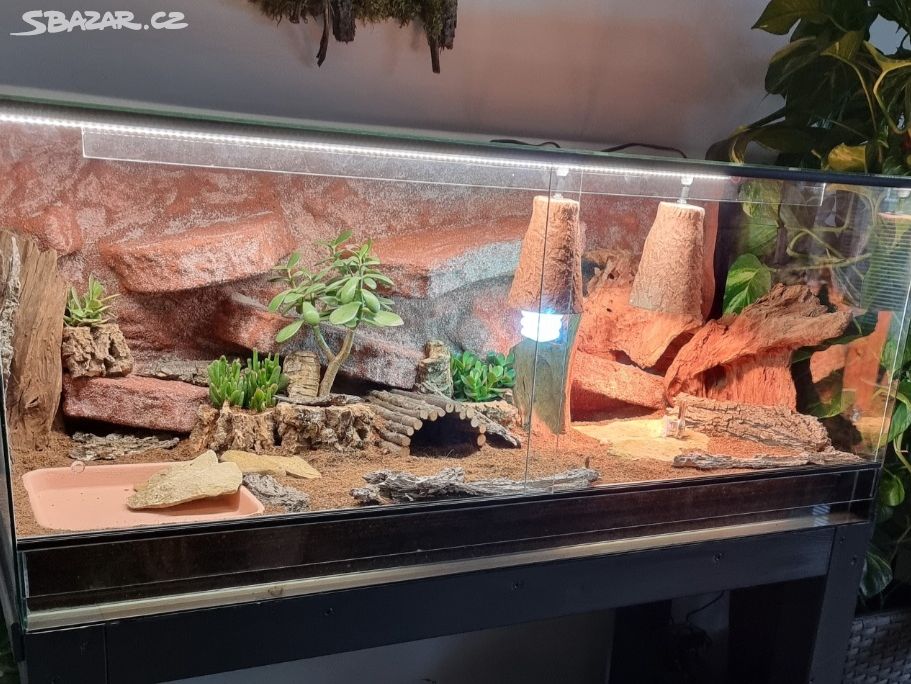 Terarium 120×50×50