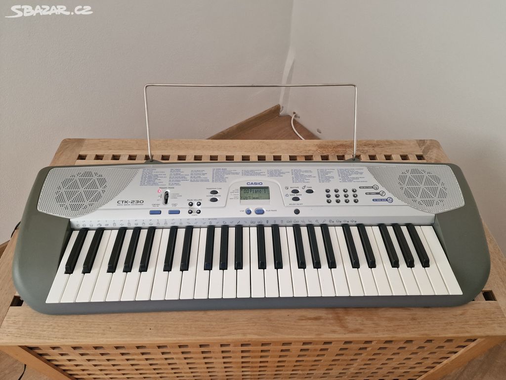 Casio CTK 230 keyboard