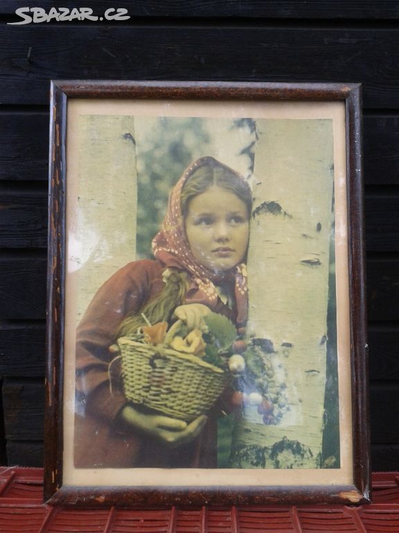 Obraz Dívka v lese - ve filmu Černí baroni