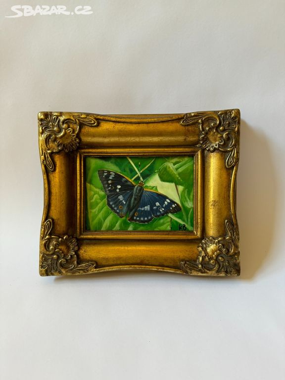 Obraz ve zlatém zdobeném rámu - modrý motýl