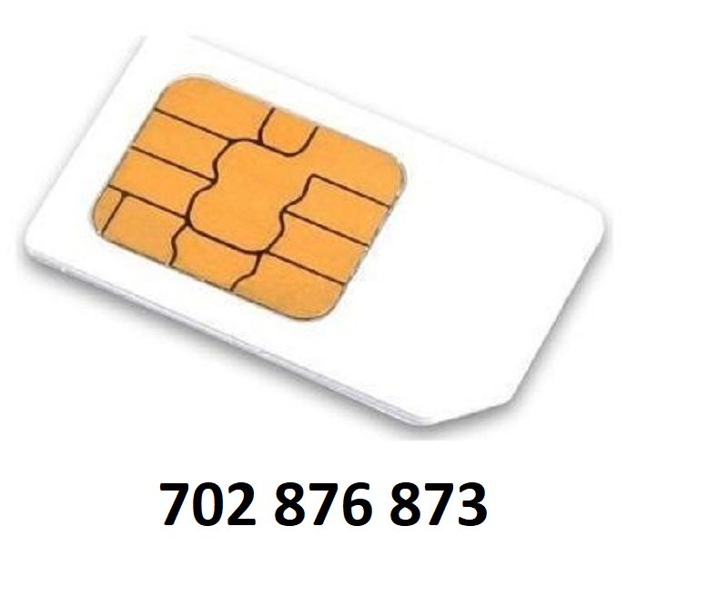 Sim karta - exkluzivní zlaté číslo: 702 876 873