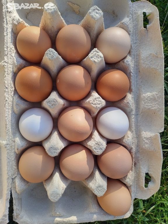 Domácí vejce, vajíčka