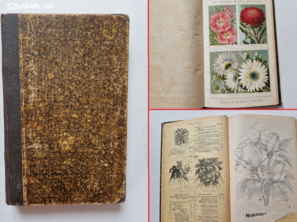 Katalog ceník semena semenářství Haage & Schmidt