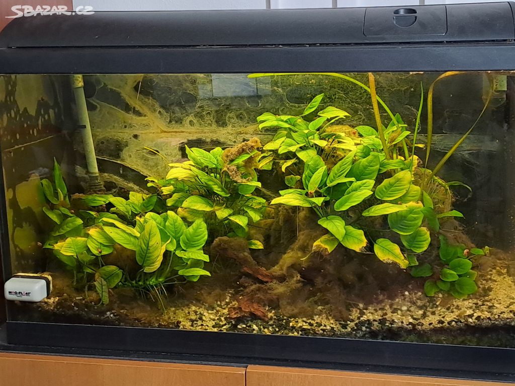 Prodám akvarium 120l