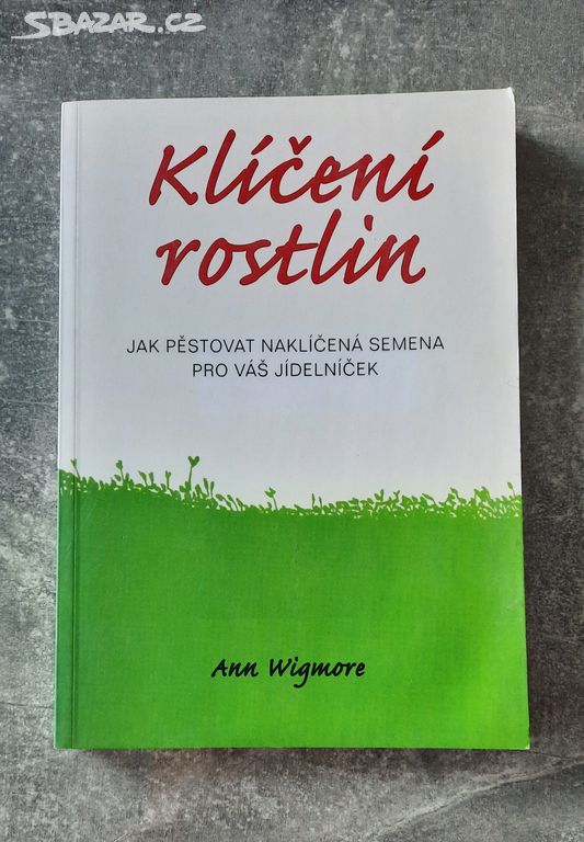 Klíčení rostlin - Jak pěstovat naklíčená semena