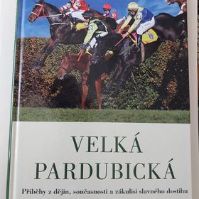 Obrázek k inzerátu: Velká Pardubická kniha