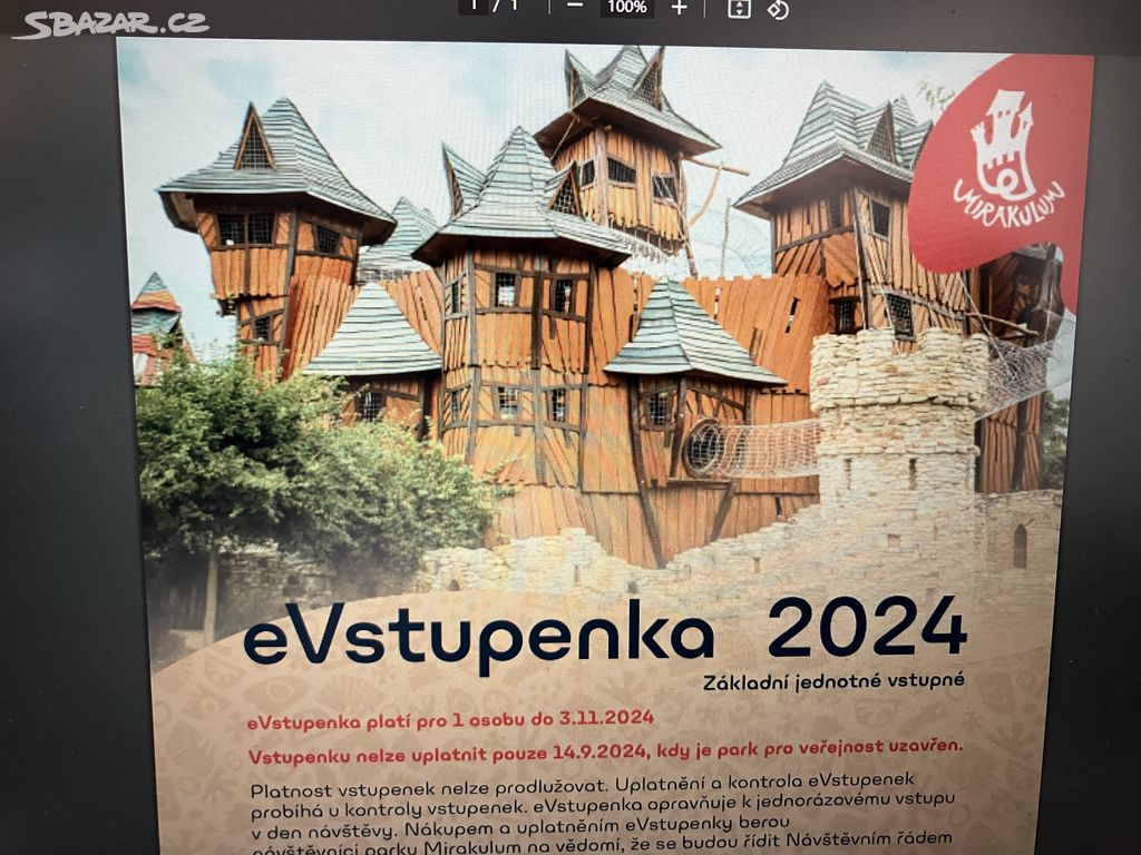 Vstupenka do