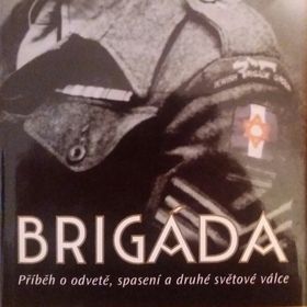 Obrázek k inzerátu: Brigáda