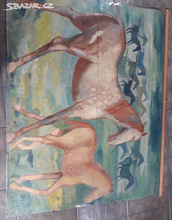 Obraz koně