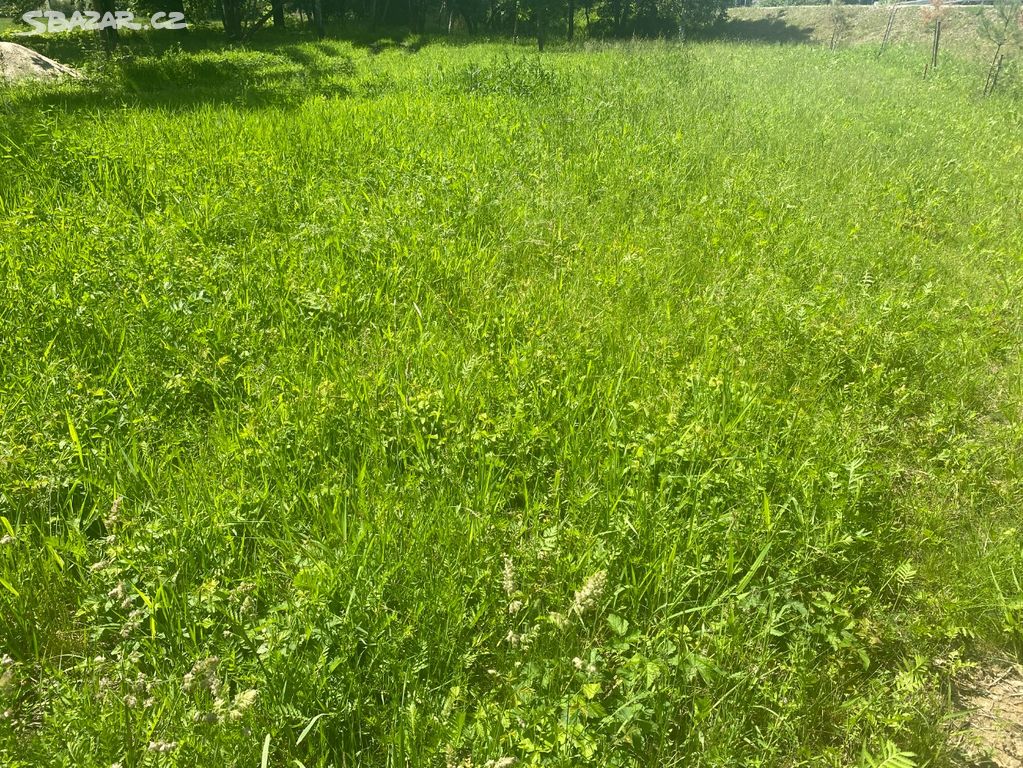 Seno, posečená tráva, tráva na posekání