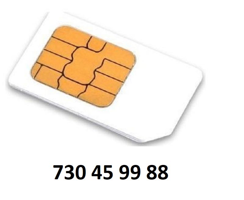 Nová sim karta - zlaté číslo: 730 45 99 88
