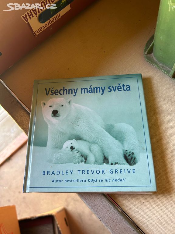 Kniha Všechny mámy světa (B. T. Greive)