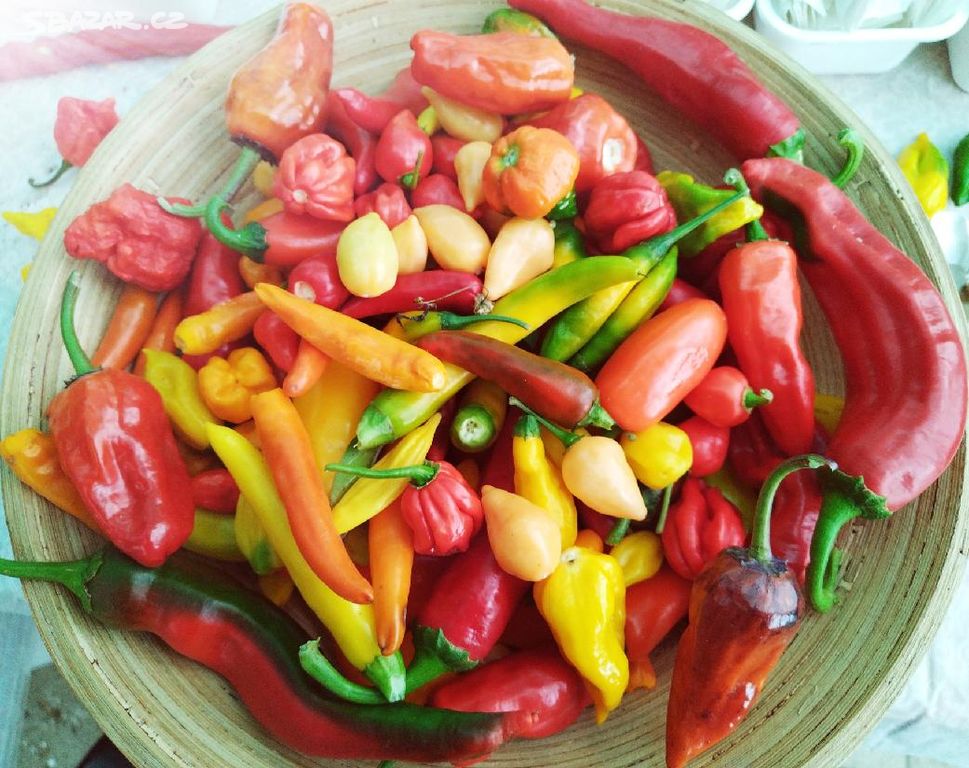 CHILLI PAPRIČKY