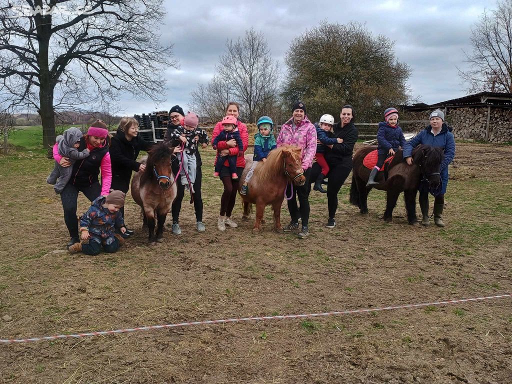 Pronájem poníků / pony klub pro nejmenší děti