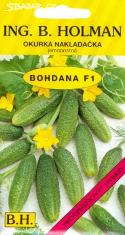 Okurka nakládačka jemnoostná, Bohdana (semena)