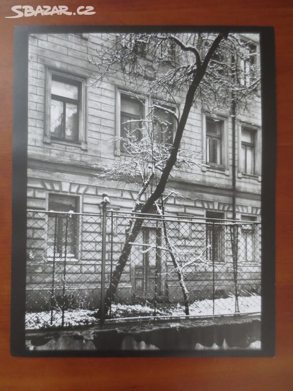 Josef Sudek - Dvoreček - fotografie - 29 x 23 cm