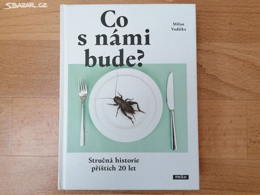 Knížka Co s námi bude? - Milan Vodička - Top stav