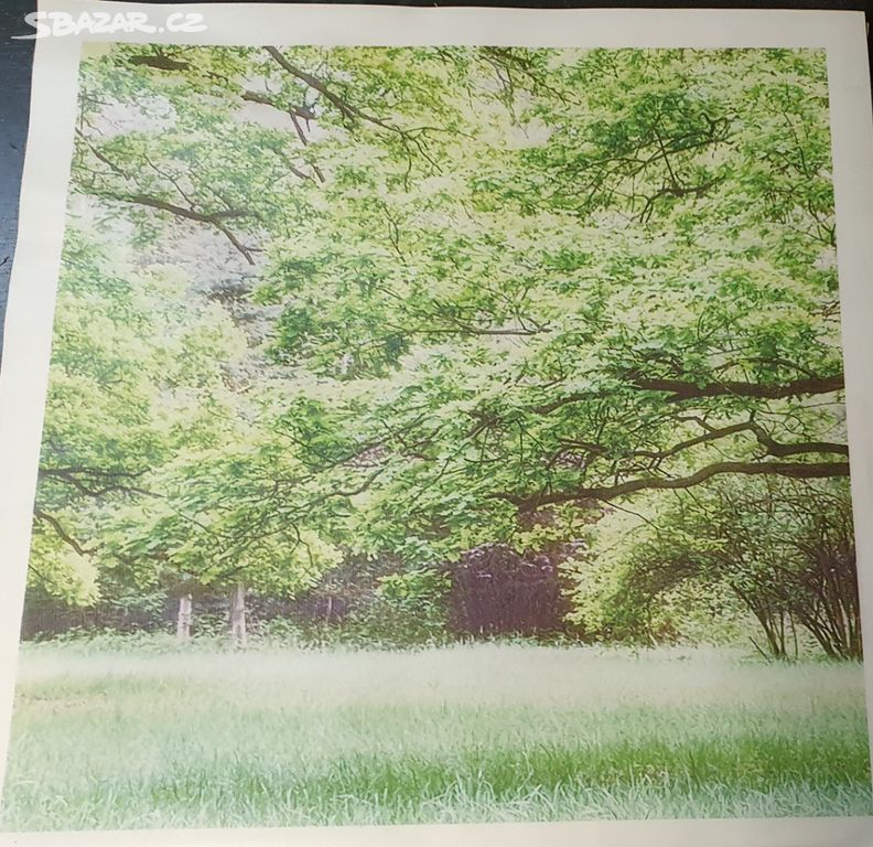 Obrazy 3 ks 56x56 cm na drev ramu