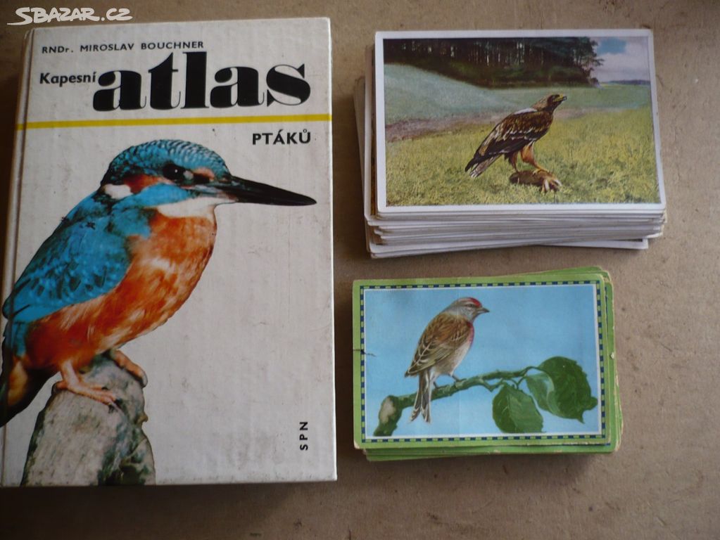 Kapesní atlas ptáků a obrázky ptáků