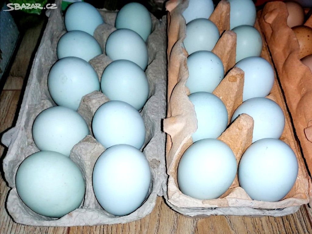 Násadová vejce Cream Legbar
