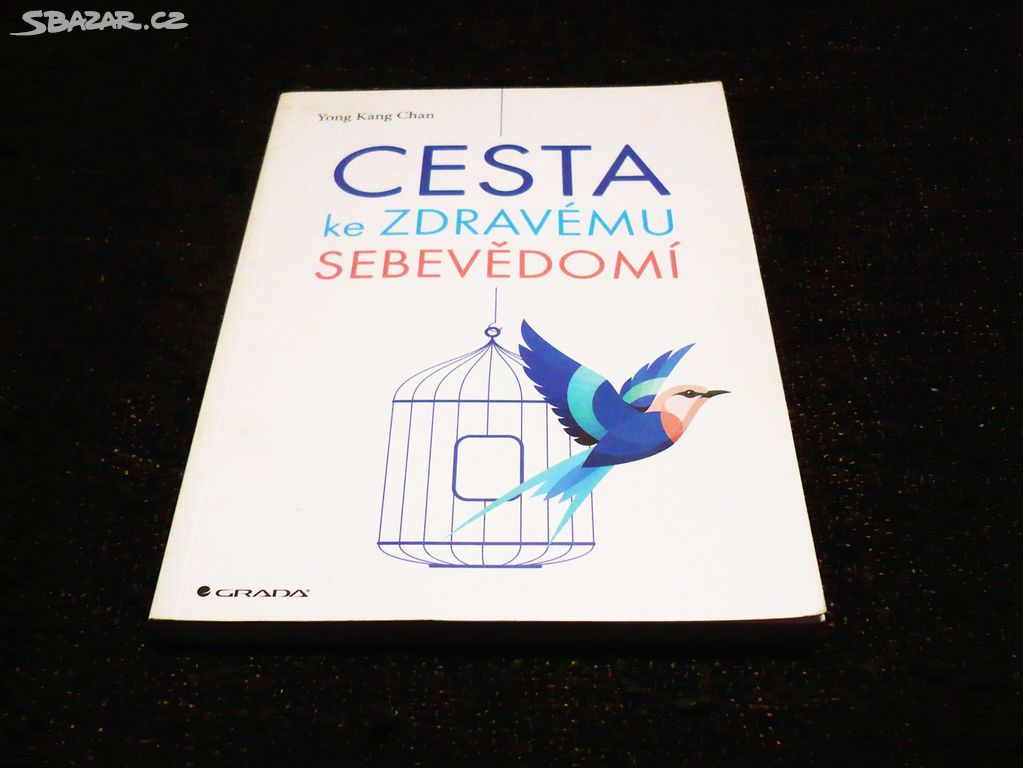 Cesta ke zdravému sebevědomí .