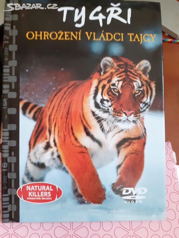 DVD Tygři ohrožení vládci Tajgy