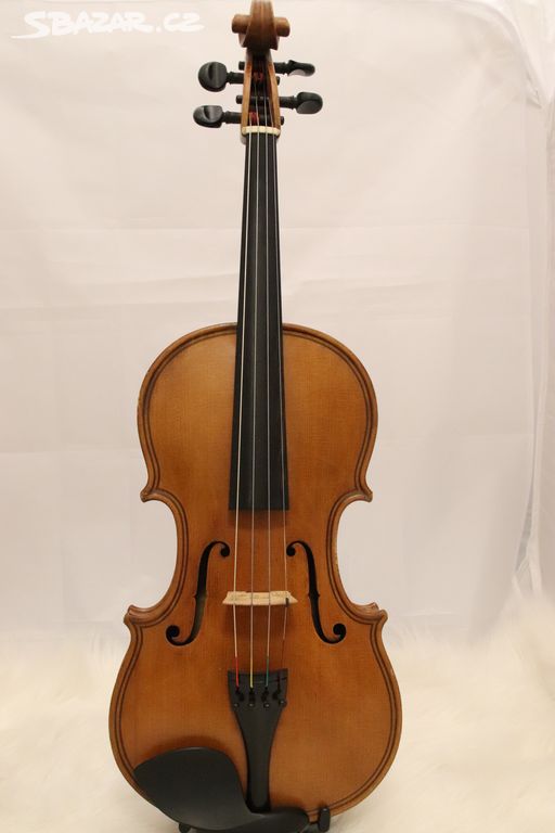 Viola