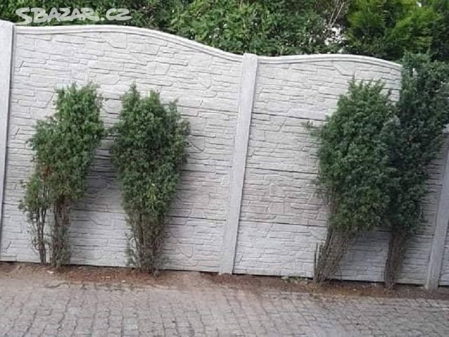 Betonove Ploty Ceske Budejovice