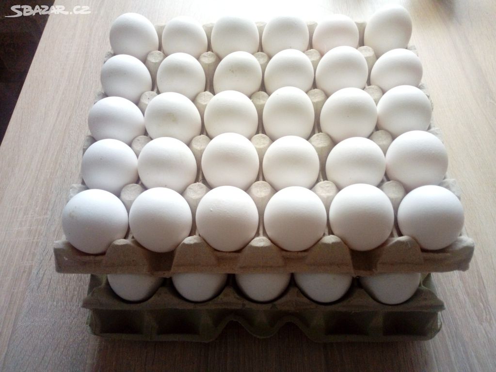 Domácí vejce. 120 Kč plato.