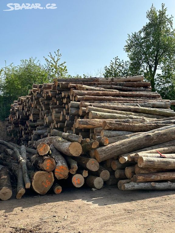 Palivové dřevo kulatiny