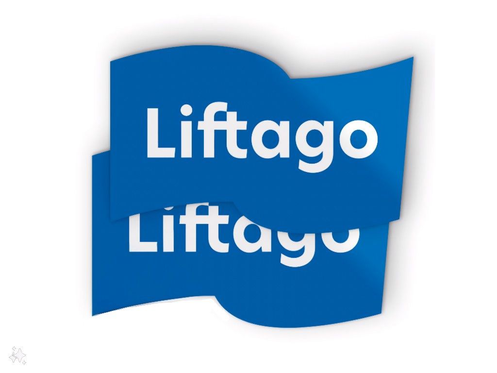 Liftago magnety na auto (cena je za pár)