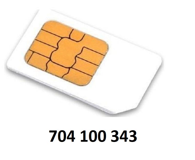 Nová sim karta - zlaté číslo: 704 100 343