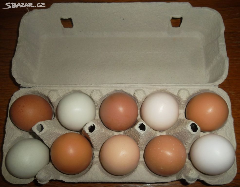 Domácí vejce v BIO kvalitě