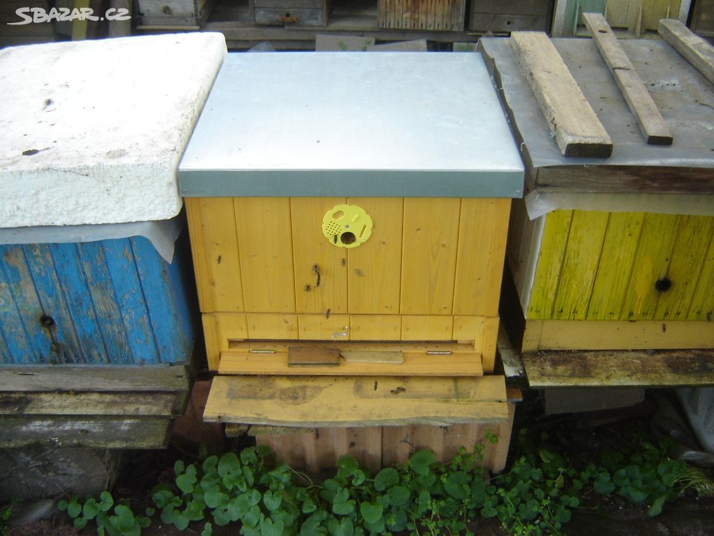 Včelstva v plné síle