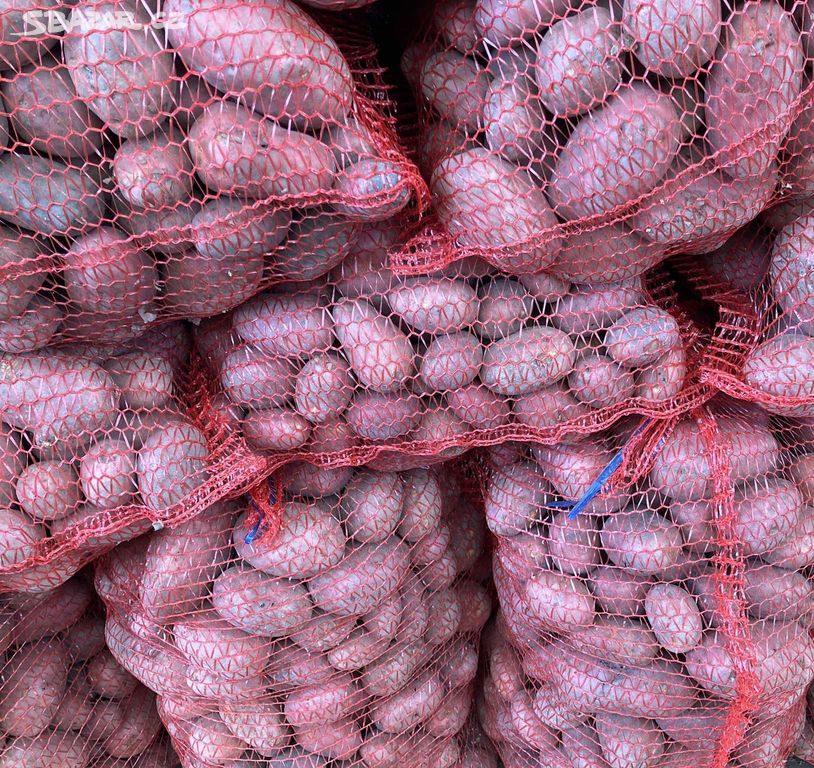 BRAMBORY NA USKLADNĚNÍ 10Kč/kg (červené a žluté)