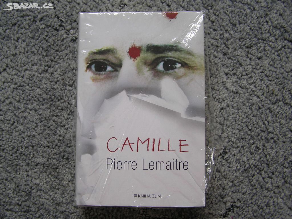 Kniha Camille - Pierre Lemaitre